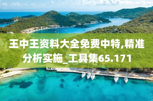 王中王资料大全免费中特,精准分析实施_工具集65.171