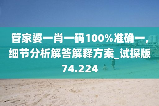 管家婆一肖一码100%准确一,细节分析解答解释方案_试探版74.224