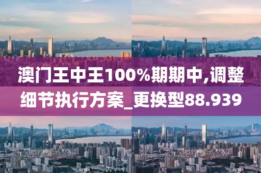 澳门王中王100%期期中,调整细节执行方案_更换型88.939