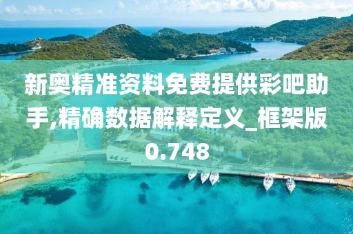 新奥精准资料免费提供彩吧助手,精确数据解释定义_框架版0.748