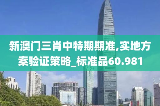 新澳门三肖中特期期准,实地方案验证策略_标准品60.981