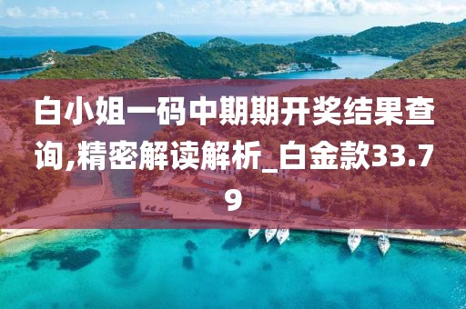 白小姐一码中期期开奖结果查询,精密解读解析_白金款33.79