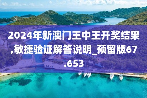 2024年新澳门王中王开奖结果,敏捷验证解答说明_预留版67.653