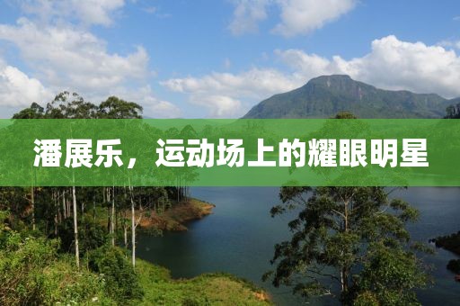 潘展乐，运动场上的耀眼明星