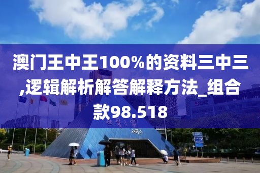 澳门王中王100%的资料三中三,逻辑解析解答解释方法_组合款98.518