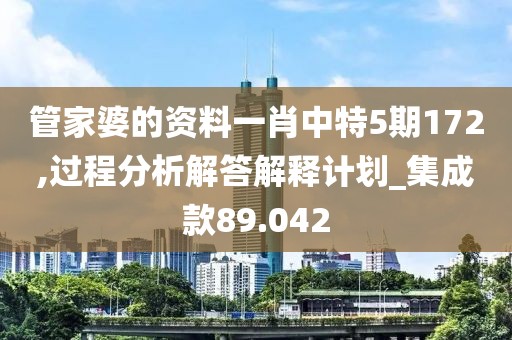 管家婆的资料一肖中特5期172,过程分析解答解释计划_集成款89.042