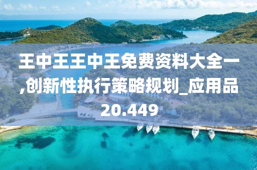 王中王王中王免费资料大全一,创新性执行策略规划_应用品20.449