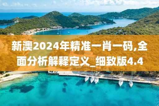 新澳2024年精准一肖一码,全面分析解释定义_细致版4.4