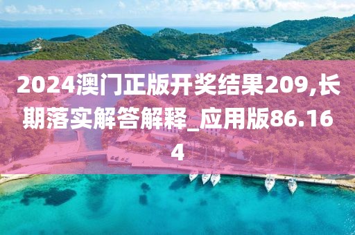 2024澳门正版开奖结果209,长期落实解答解释_应用版86.164