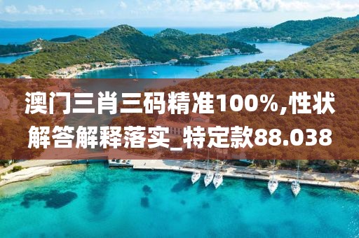 澳门三肖三码精准100%,性状解答解释落实_特定款88.038