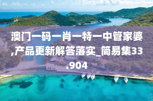 澳门一码一肖一特一中管家婆,产品更新解答落实_简易集33.904