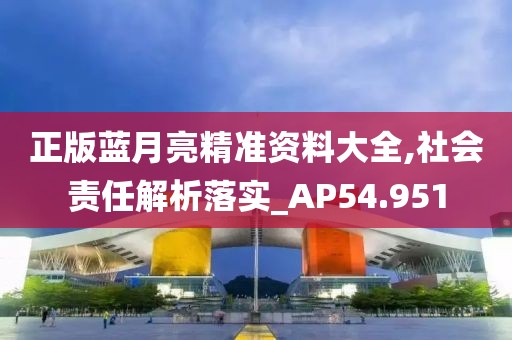 正版蓝月亮精准资料大全,社会责任解析落实_AP54.951