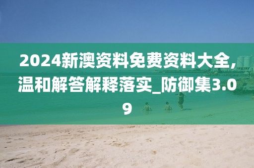 2024新澳资料免费资料大全,温和解答解释落实_防御集3.09