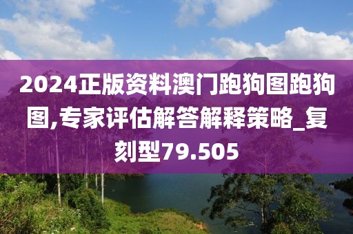 2024正版资料澳门跑狗图跑狗图,专家评估解答解释策略_复刻型79.505