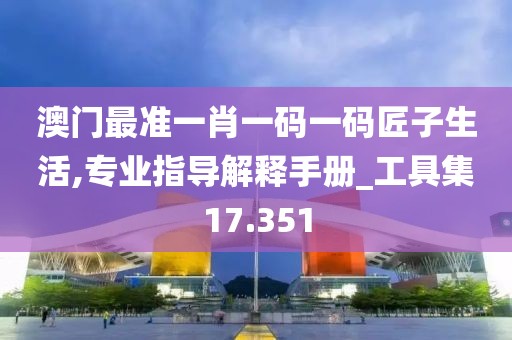 澳门最准一肖一码一码匠子生活,专业指导解释手册_工具集17.351