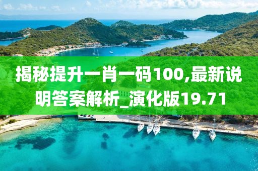 揭秘提升一肖一码100,最新说明答案解析_演化版19.71