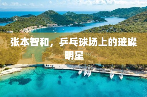 张本智和，乒乓球场上的璀璨明星