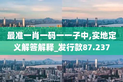 最准一肖一码一一子中,实地定义解答解释_发行款87.237