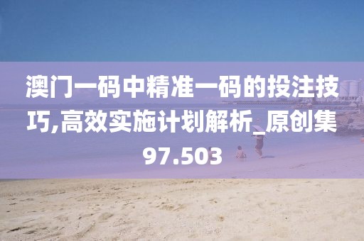 澳门一码中精准一码的投注技巧,高效实施计划解析_原创集97.503
