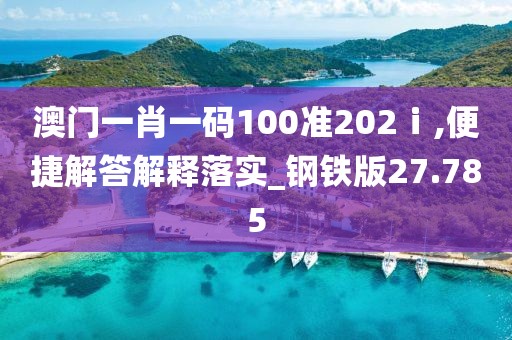 澳门一肖一码100准202ⅰ,便捷解答解释落实_钢铁版27.785