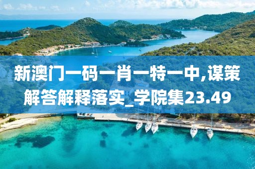 新澳门一码一肖一特一中,谋策解答解释落实_学院集23.49