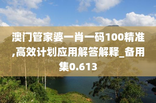 澳门管家婆一肖一码100精准,高效计划应用解答解释_备用集0.613