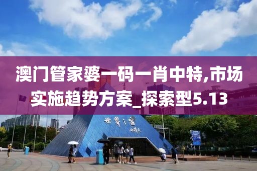 澳门管家婆一码一肖中特,市场实施趋势方案_探索型5.13