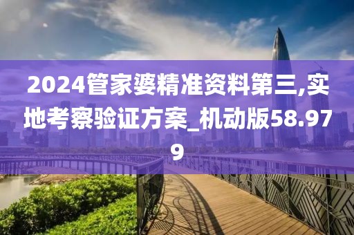 2024管家婆精准资料第三,实地考察验证方案_机动版58.979