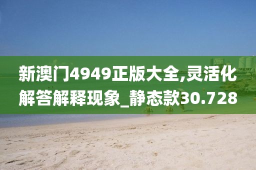 新澳门4949正版大全,灵活化解答解释现象_静态款30.728