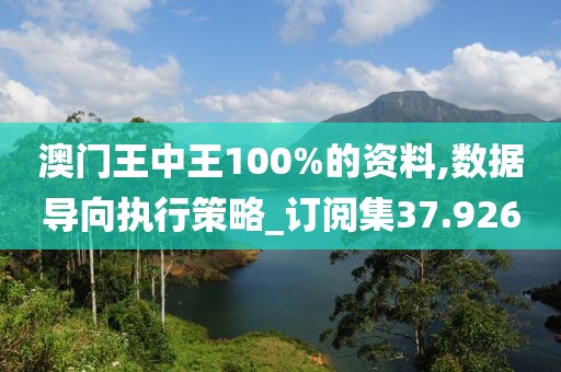 澳门王中王100%的资料,数据导向执行策略_订阅集37.926