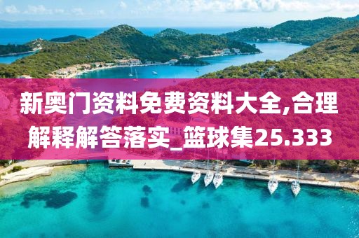 新奥门资料免费资料大全,合理解释解答落实_篮球集25.333