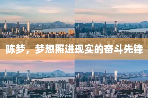 陈梦，梦想照进现实的奋斗先锋