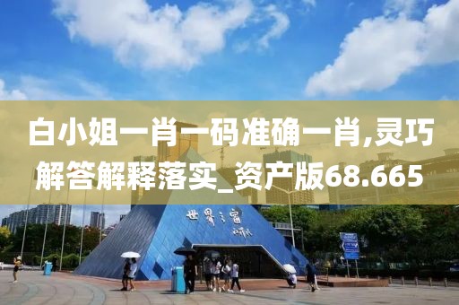白小姐一肖一码准确一肖,灵巧解答解释落实_资产版68.665