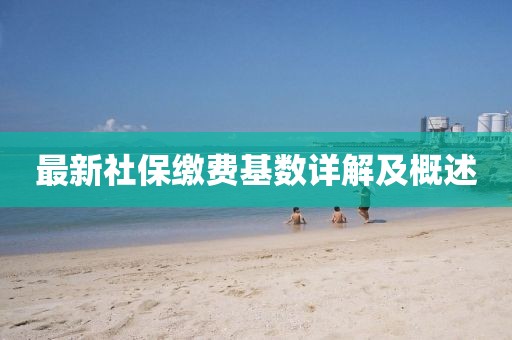 最新社保缴费基数详解及概述