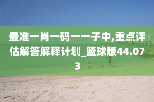 最准一肖一码一一子中,重点评估解答解释计划_篮球版44.073