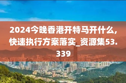 2024今晚香港开特马开什么,快速执行方案落实_资源集53.339