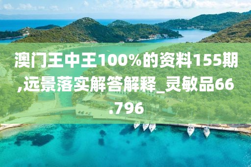 澳门王中王100%的资料155期,远景落实解答解释_灵敏品66.796
