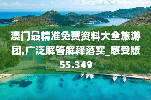 澳门最精准免费资料大全旅游团,广泛解答解释落实_感受版55.349
