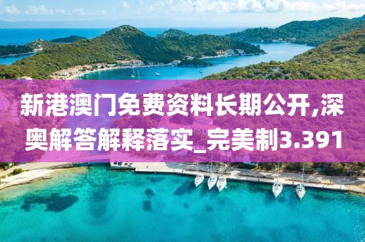 新港澳门免费资料长期公开,深奥解答解释落实_完美制3.391
