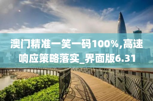 澳门精准一笑一码100%,高速响应策略落实_界面版6.31