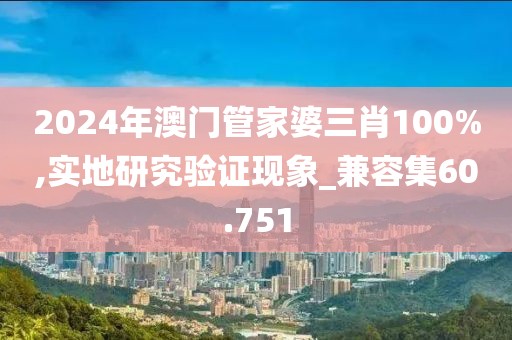 2024年澳门管家婆三肖100%,实地研究验证现象_兼容集60.751