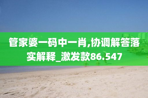 管家婆一码中一肖,协调解答落实解释_激发款86.547