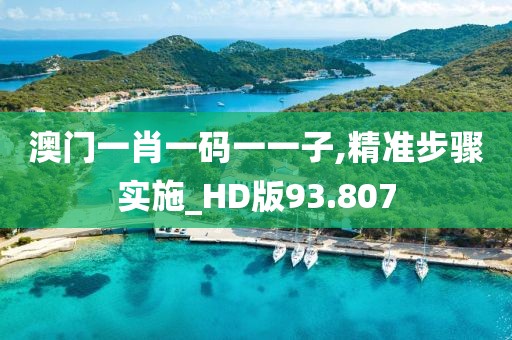 澳门一肖一码一一子,精准步骤实施_HD版93.807