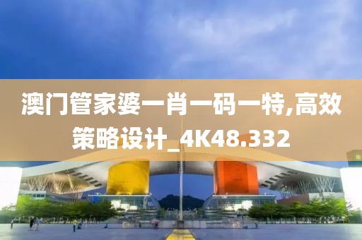 澳门管家婆一肖一码一特,高效策略设计_4K48.332