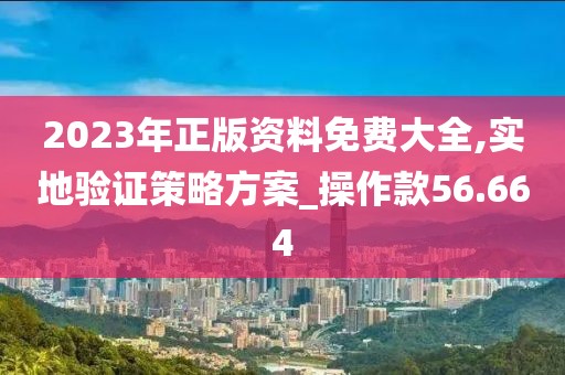2023年正版资料免费大全,实地验证策略方案_操作款56.664