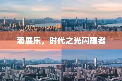 潘展乐，时代之光闪耀者
