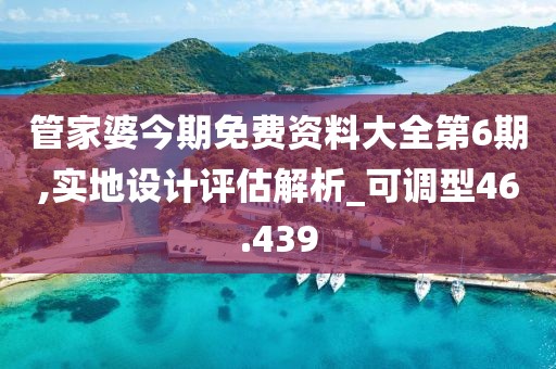 管家婆今期免费资料大全第6期,实地设计评估解析_可调型46.439