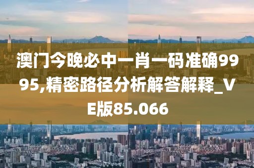 澳门今晚必中一肖一码准确9995,精密路径分析解答解释_VE版85.066