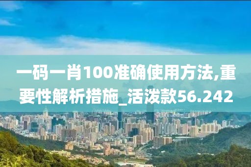 一码一肖100准确使用方法,重要性解析措施_活泼款56.242