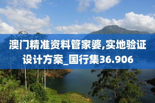 澳门精准资料管家婆,实地验证设计方案_国行集36.906